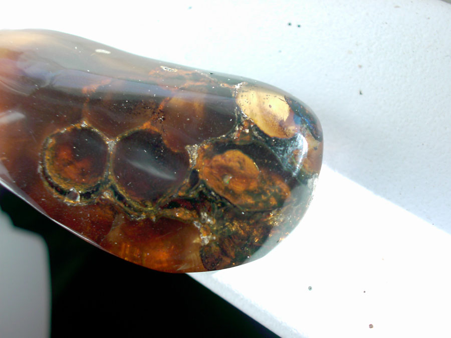 Bee Hive in Amber