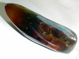 Honeycomb fossil in Dominican Amber: a unique discovery