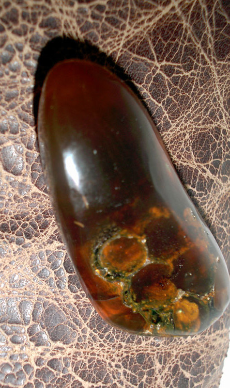 We offer for sale a Honeycomb - Beehive in Dominican amber 
25 Million Years old.