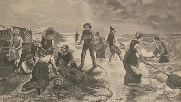 Baltic Amber fishing