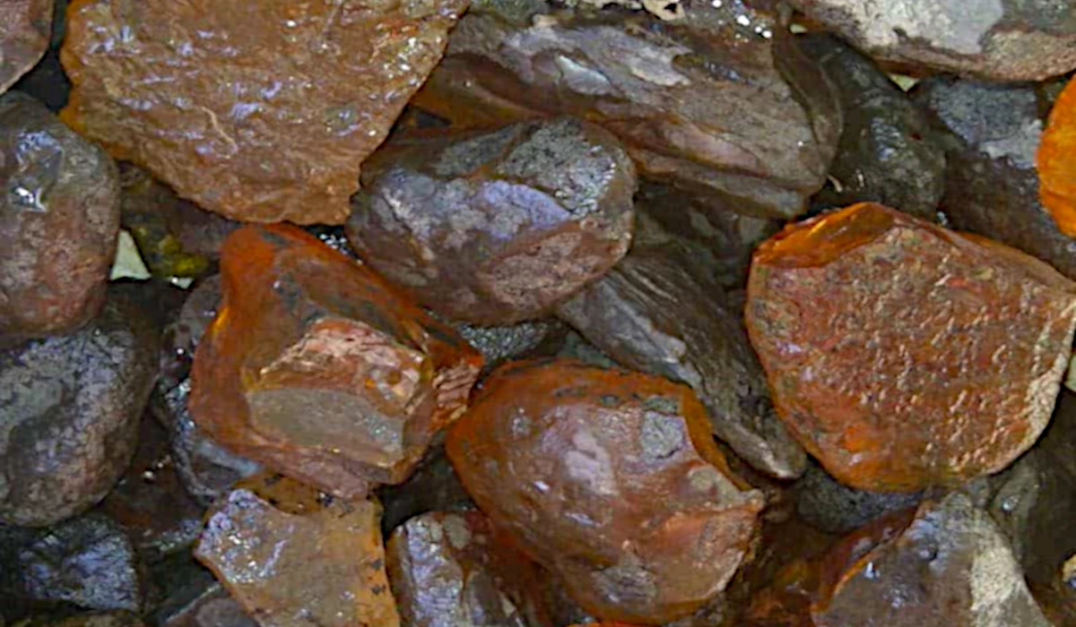 Natural Dominican Amber